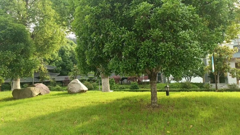 绿化苗木种植报价单明细表