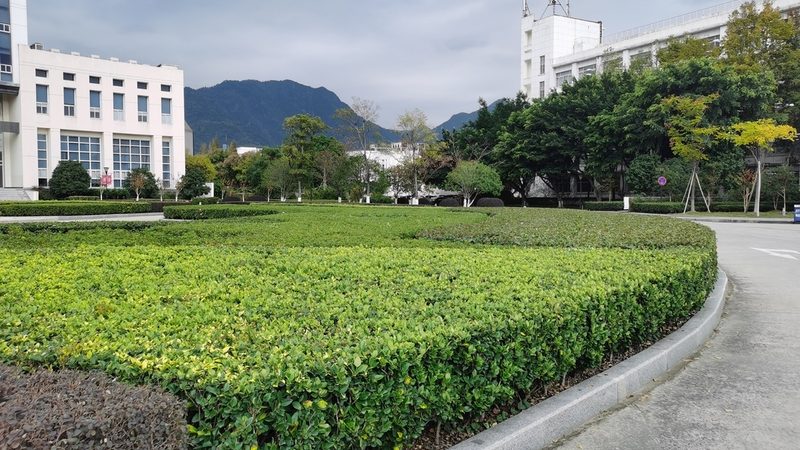 屋顶花园园林景观设计效果图：打造绿色生态新空间