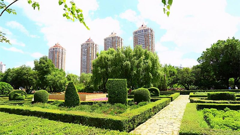 花园设计施工：流程揭秘与费用考量**